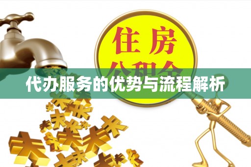 子洲代办服务的优势与流程解析
