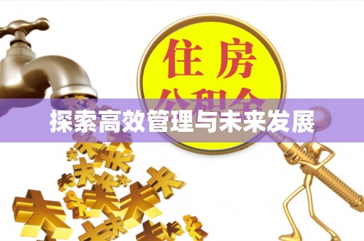 子洲探索高效管理与未来发展
