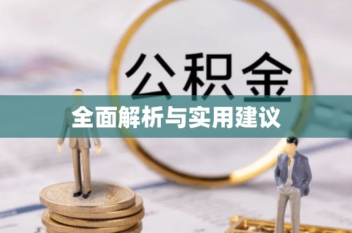 子洲全面解析与实用建议