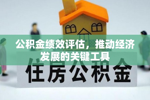 子洲公积金绩效评估，推动经济发展的关键工具