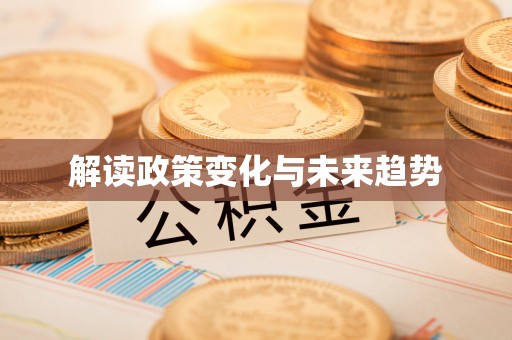 子洲解读政策变化与未来趋势