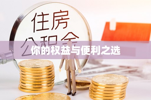 子洲你的权益与便利之选
