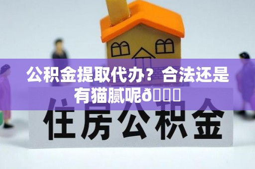 子洲公积金提取代办？合法还是有猫腻呢😏
