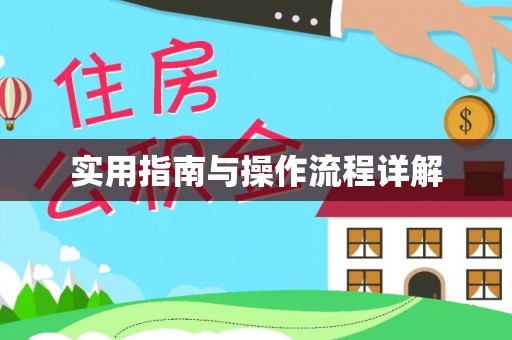 子洲实用指南与操作流程详解