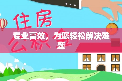 子洲专业高效，为您轻松解决难题