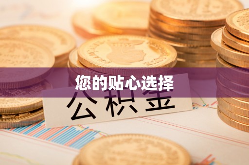 子洲您的贴心选择