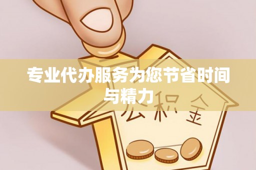 子洲专业代办服务为您节省时间与精力
