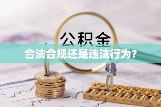 子洲合法合规还是违法行为？