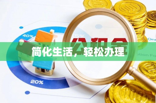 子洲简化生活，轻松办理