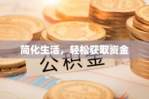 子洲简化生活，轻松获取资金