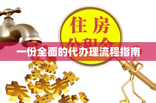 子洲一份全面的代办理流程指南